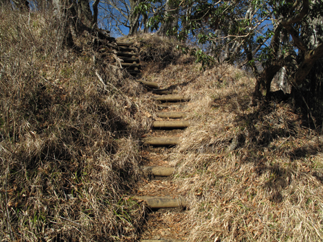 20171207hike (100)